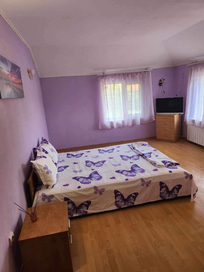 Guest House Iveta Sofia Exterior photo